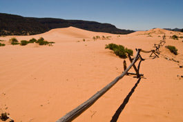 Coral Sands